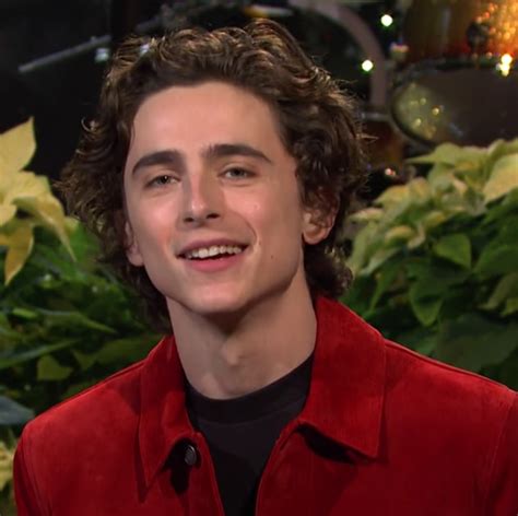 Timothée Chalamet transforms into Harry Styles during his hilarious 'SNL' hosting debut ...