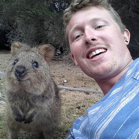 There is New Selfie Trend Circling Around. It’s Called Quokka Selfie!