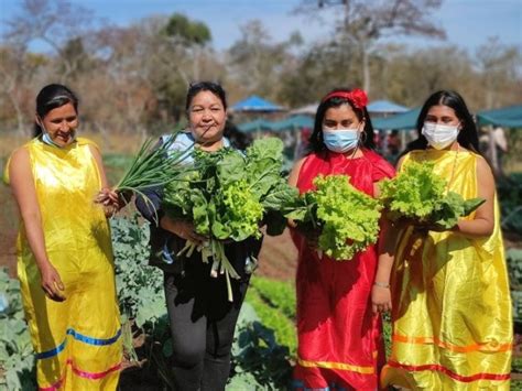 ‘Harvesting water’: Indigenous Bolivian women lead organic farming project against climate ...