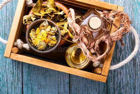 Healing Herbs and Roots in Box Stock Photo - Image of medicinal ...