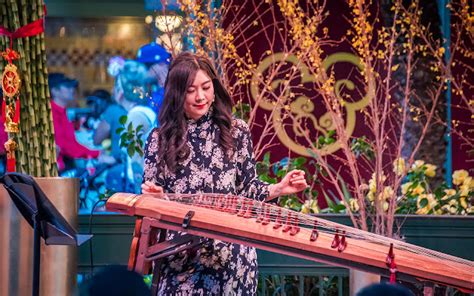 Luna Lee: Gayageum Revolutionary