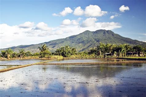 bundok makiling - philippin news collections