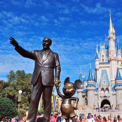 Rides reopened after black bear captured at Walt Disney World's Magic ...