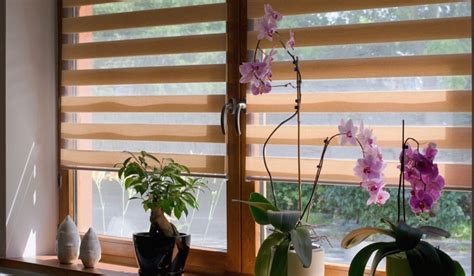 Can you make your home elegant with the installation of bamboo blinds ...