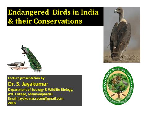 (PDF) Endangered birds in India