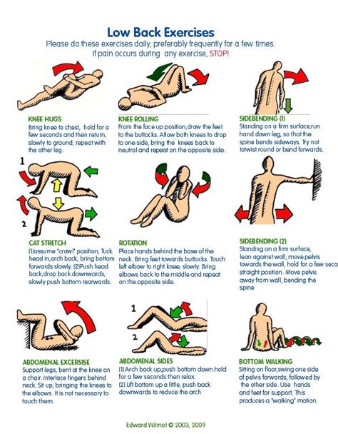 1000+ images about lower back pain on Pinterest | Massage, Knee arthroscopy and Lower back ...