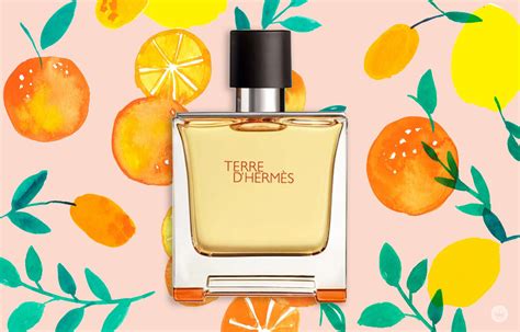 5 Best Citrus Cologne & Fragrances - Modern Men's Guide