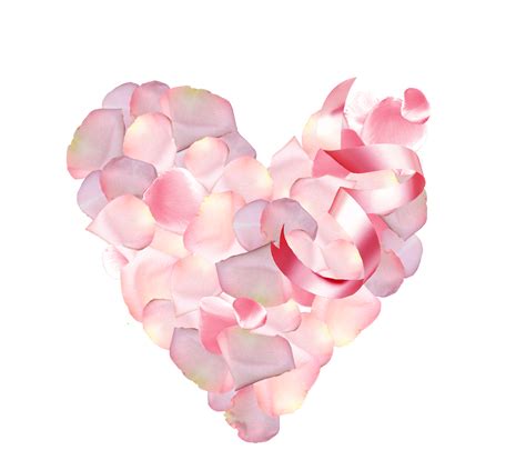 Heart form from Pink Petals with ribbon free image download