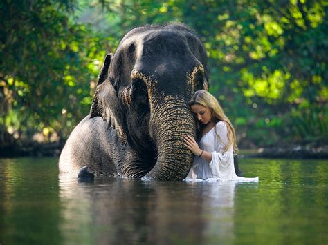 Wallpaper Elephant and girl in the water 1920x1200 Picture, Image