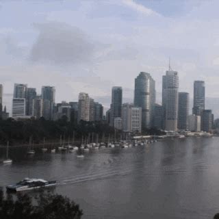 City Fog GIF - Find & Share on GIPHY