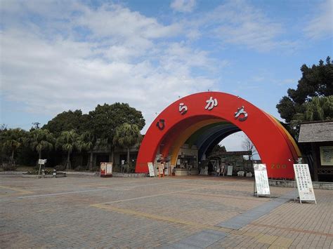 THE 15 BEST Things to Do in Kagoshima - 2022 (with Photos) - Tripadvisor