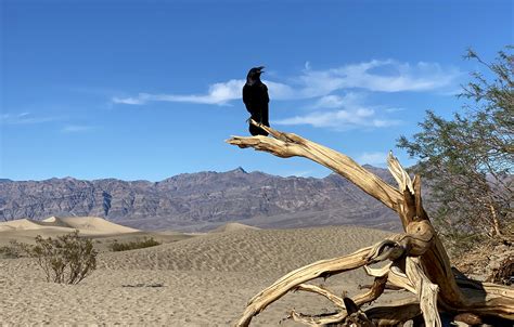 Inside Death Valley Junction, the loneliest California town