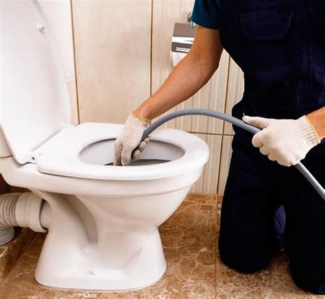 How To Avoid A Blocked Toilet? Tips and More