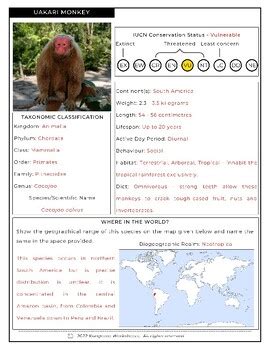 UAKARI MONKEY - Fact File Worksheet - Research Sheet by Kangaroo Worksheets