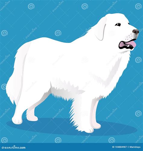 Great Pyrenees Dog Breed Cartoon Retro Drawing Stock Photo ...