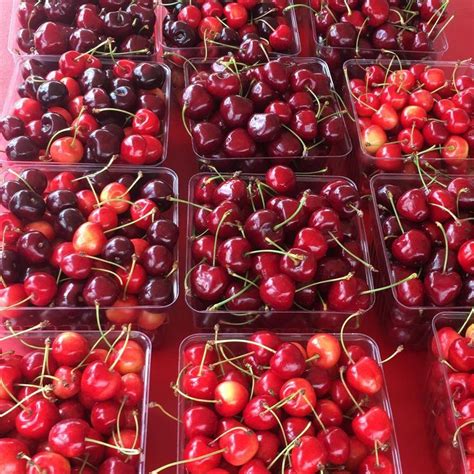 National Cherry Festival www.lakesandgrapes.com | National cherry festival, Cherry festival ...