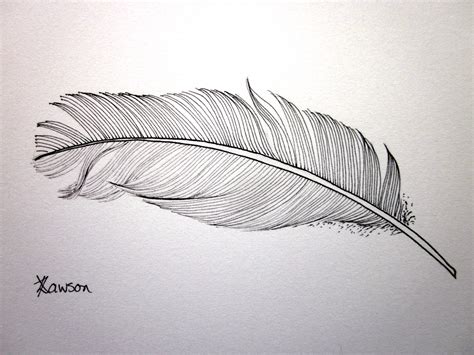 Feather drawing giveaway – Anne Lawson Art