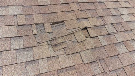 Wind Damage Roof: Signs That You Need Roof Maxx Treatment