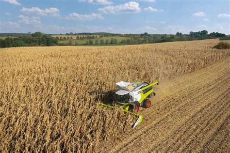 Bumper corn crop for South African farmers - Grain Central