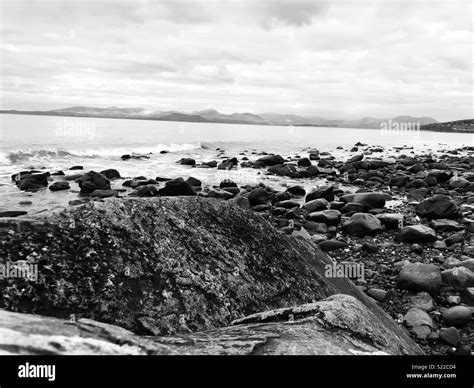 Shell island, Wales, UK Stock Photo - Alamy