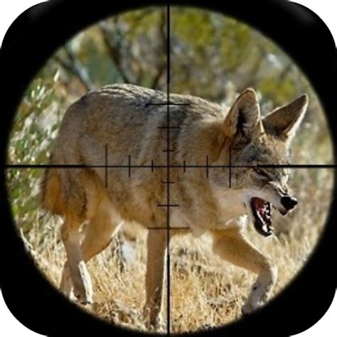 Coyote Hunting Calls - Apps on Google Play