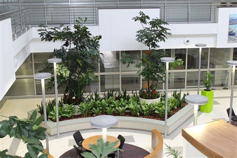 Low Light Atrium | Indoor office plants, Indoor plants apartments, Indoor plants easy