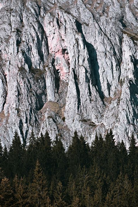 Rocky Mountain And Trees · Free Stock Photo