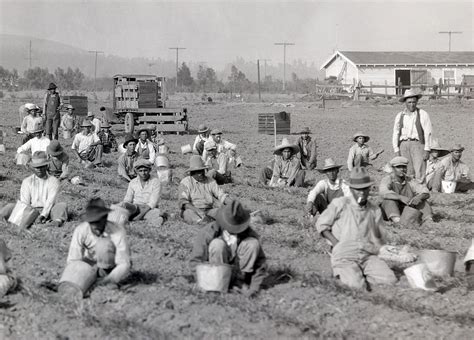 History of American Agriculture: Farm Machinery and Technology