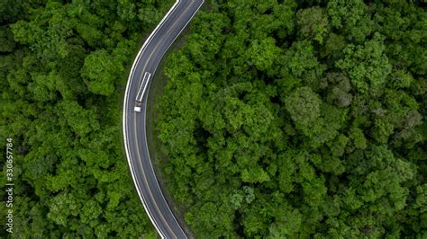 Aerial view road going through forest, Road through the green forest ...