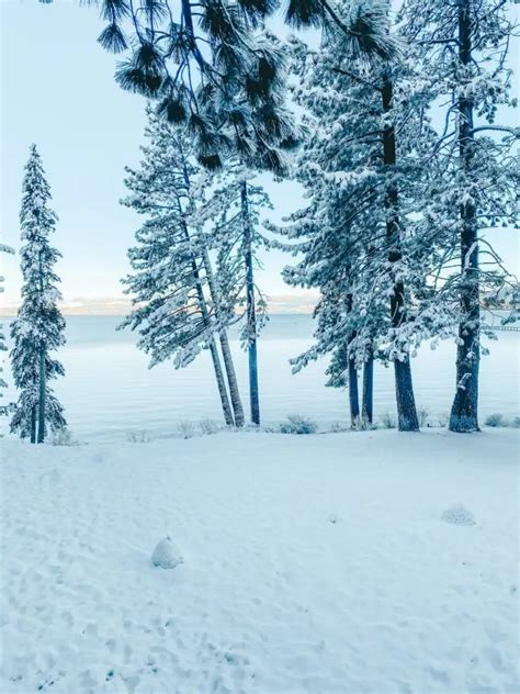 South lake tahoe winter vacation guide and itinerary – Artofit