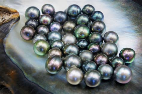 Natural Black Pearls