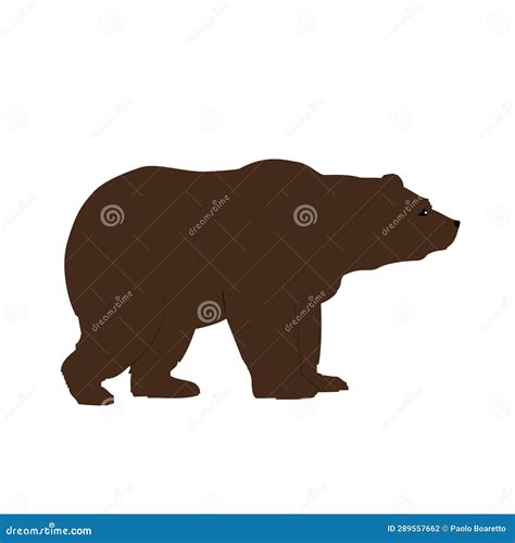 Grizzly Bear Side View Isolated, Animals and Wildlife Concept Stock ...