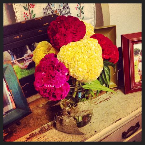 My fresh picked Celosia bouquet. | Bouquet, Desserts, Cake