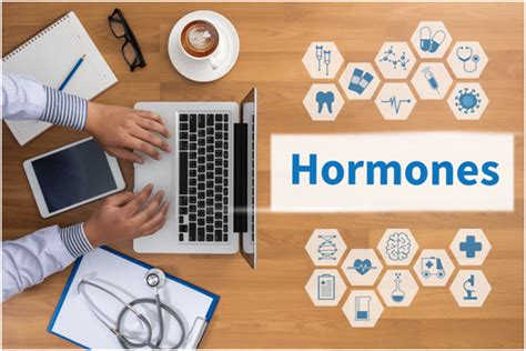 Bioidentical Hormones vs. Synthetic: Everything You Need to Know - Health Life Service