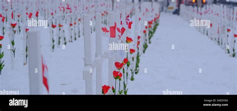 Field of crosses to mark canada's remembrance day Stock Photo - Alamy