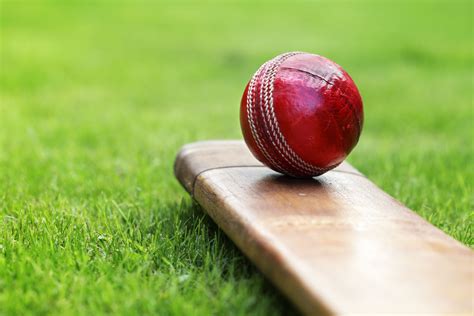 Red Cricket Ball On Cricket Bat