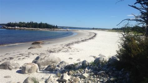 Emergency access to Carters Beach snarled by 'crazy' parking problems - Nova Scotia - CBC News