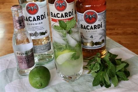 Classic Bacardi Mojito Cocktail Drink Recipe | dobbernationLOVES