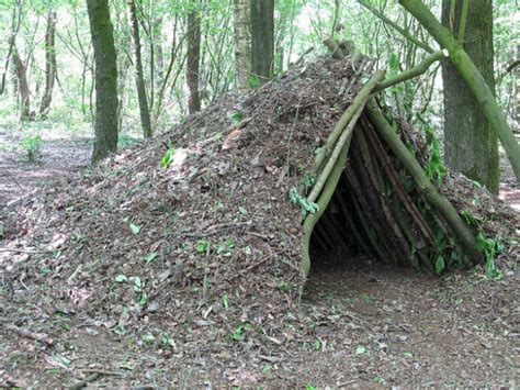 14 Survival Shelters You Can Build For Any Situation - Total Survival