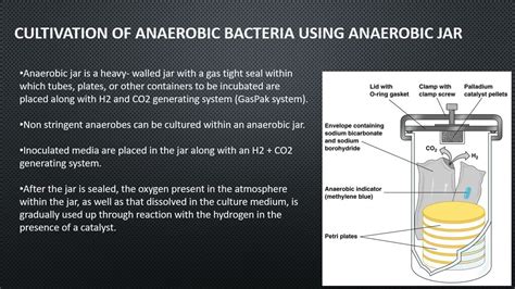 Culture techniques for Anaerobic bacteria - YouTube