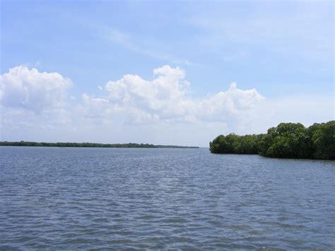 Mangrove Island in Puttalam Lagoon | Upali Mallikarachchi | Flickr