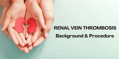 Renal Vein Thrombosis- Background & Procedure - Chennai's Premier ...