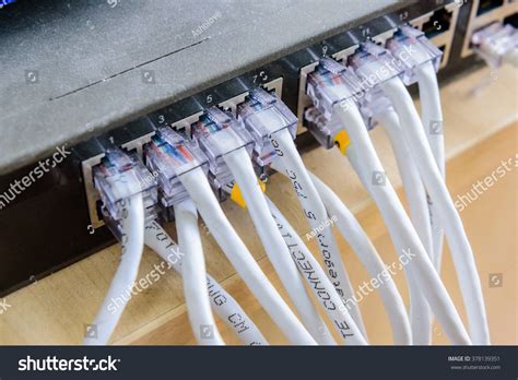 Network Switch Hub Ethernet Cables Lan Stock Photo 378139351 | Shutterstock