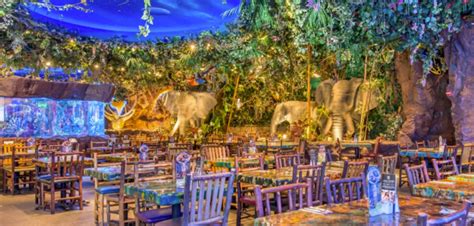 Rainforest Cafe at Disney Springs | Experience Kissimmee