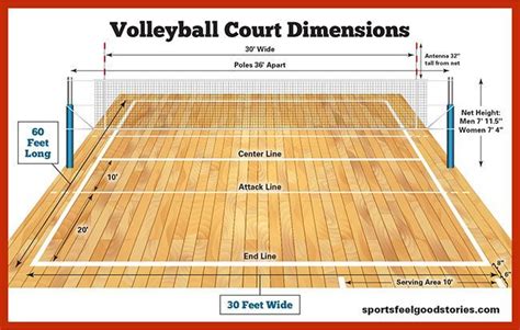 Volleyball Court Dimensions and Net Height For All Levels of Play ...