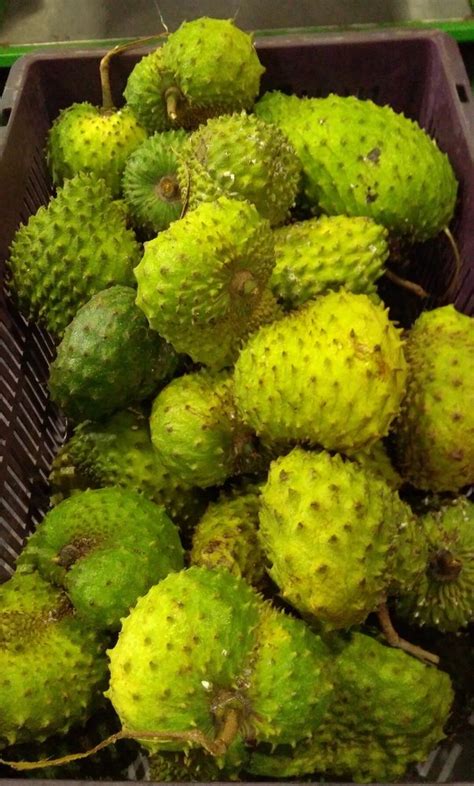 Graviola Fruit at Rs 400/kilogram | Lakshman Phal in Sivakasi | ID: 19078594697