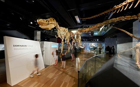 Dinosaur Walk - Melbourne Museum