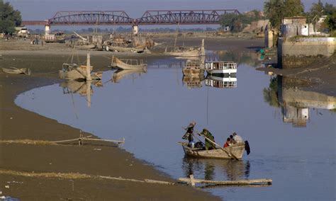 Indus River Dolphin | Photos | WWF