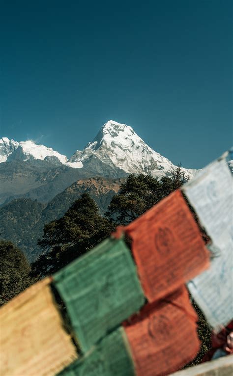 Dhaulagiri Circuit trek – Asiatic Roads