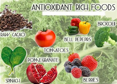 Best Antioxidant Foods For Men And Women - Yabibo